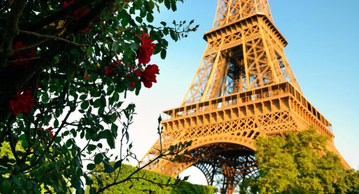 Dlaczego warto uczyć się języka francuskiego?